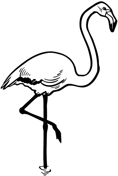 Flamingo vinyl sticker. Customize on line.       Animals Insects Fish 004-1230  